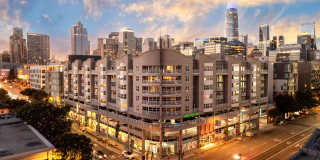 SOMA at 788 Gallery 37