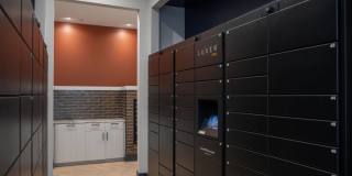 Bexley Stockyards Gallery 29