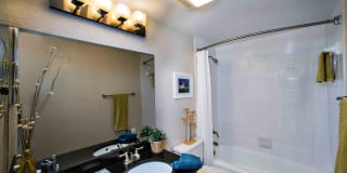 TGM Oceana Gallery 8