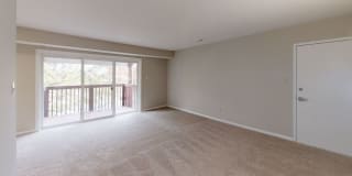 Linden at Berkeley Gallery 4