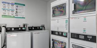 The Hendrix The Hendrix Gallery 13