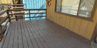 32981 Deer Gallery 1