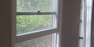 2219 Glendon Ave Gallery 23