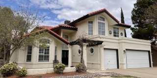 537 ROSINANTE Road Gallery 79