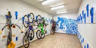 Sofi Laguna Hills Gallery 10