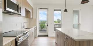 Maxwell at Bascom Maxwell at Bascom Gallery 11