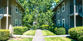 Courtside Gallery 14