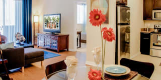 Red Road Commons Gallery 55