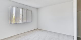 Terrace Oak Gallery 4