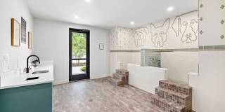 Ellison at The Exchange Gallery 21