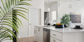 Acero at the Stadium Gallery 2