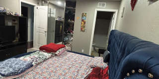 1598 Trieste Way Gallery 5