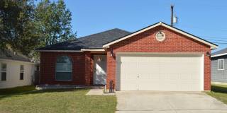20603 Liatris Lane Gallery 1