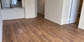 10038 Twin Lakes Dr Gallery 4