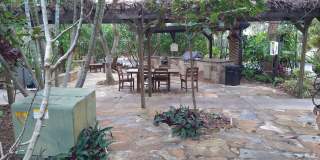 1020 Pinetree Drive Gallery 33