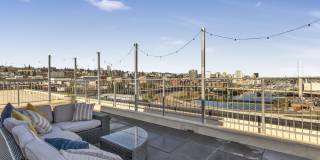 Koz at the Dome Gallery 23