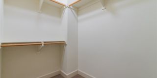 144 Velvet Flower Gallery 37