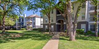 Oak Forest Gallery 12