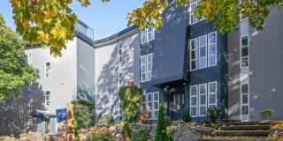 Arrive Magnolia Gallery 66