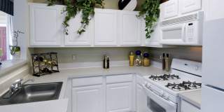 Avalon Russett Gallery 7