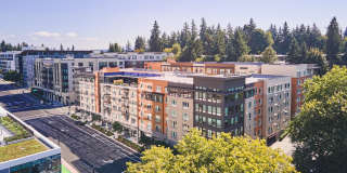 Main Street Flats Gallery 22