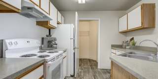 Pines at Castle Rock Gallery 4