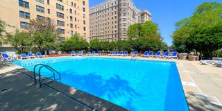 The Flamingo Gallery 14