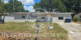 Spacious 4BR Tampa Home | Huge Fenced Backyard & Fresh Updates Throughout Gallery 3