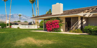 5 Briarcliff Court Gallery 43