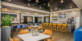 The Pointe at Polaris Gallery 61