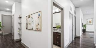 Miro Gallery 57