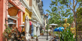 Windsor Winchester Windsor Winchester Gallery 47