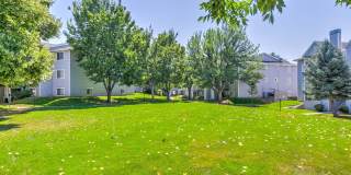 Rosewood Apartments Gallery 38