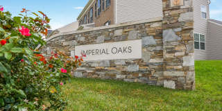4817 Forest Pines Dr Gallery 31
