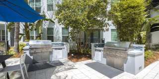 Society Westshore Apartments Gallery 21