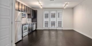 Zang Triangle Gallery 15