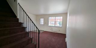 1181 D Kelburn Road Gallery 9