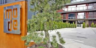 Capitol Hill One Bedroom Condo For Rent Gallery 7