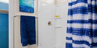 Olive Queen Creek Gallery 12