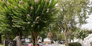 27 North Apartments Gallery 21