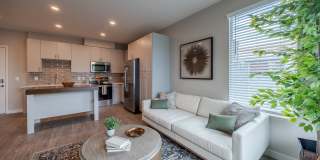 Birchway Tropicana Gallery 44