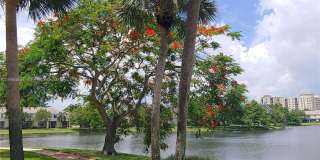 5071 Palmbrooke Cir Gallery 22