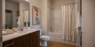 Montage Apartments Gallery 8