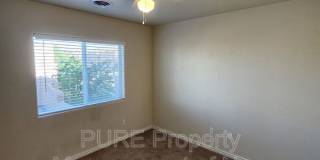 3004 Calla Lilly Gallery 20