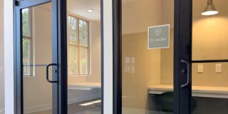 Waterleaf at Salt Creek Gallery 12