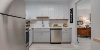 Verve 261 Gallery 12