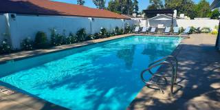 Arbor Collection Gallery 10