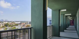 Cobalt Gallery 27