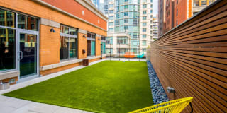 The Capitol The Capitol Gallery 21