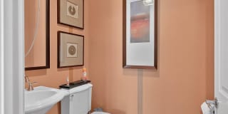 81157 Avenida Sombra Gallery 15